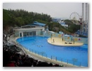 dscn0400.jpg