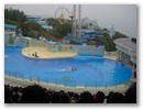 dscn0402.jpg