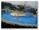 dscn0404.jpg
