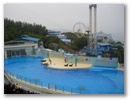 dscn0418.jpg
