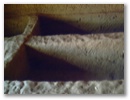 pict0040.jpg