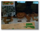 pict0114.jpg